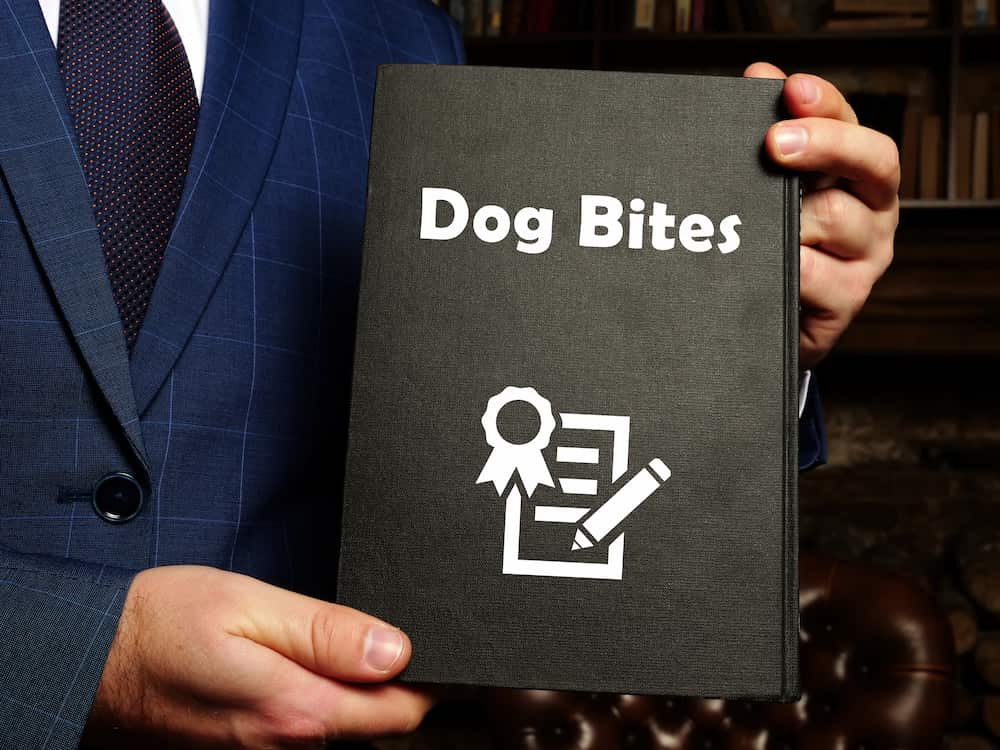 man on a suit holding a black clipboard saying 'dog bites'